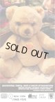 STEIFF PETSY "MADE IN WEST GERMANY"  TEDDY BEAR 