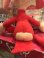 画像6: REN D.STOCK PLUSH DOLL & VIDEO 