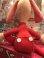 画像5: REN D.STOCK PLUSH DOLL & VIDEO 