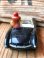 画像2: WIENERSCHNITZEL "PULL BACK" OPEN CAR