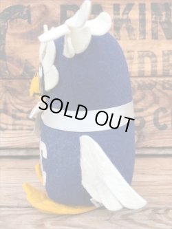 画像3: PERSONALITY PET VINTAGE  "SPOON RIVER COLLEGE"  COLLEGIATE MFG Co. DOLL