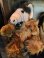 画像2: ALF 1980'S PLUSH DOLL (2)