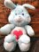 画像1: CARE BEARS COUSIN "SWIFT HEART ♥RABBIT" 1980'S DOLL   (1)