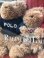 画像8: RALPH LAUREN "POLO BEAR" 2002'S TEDDY BEAR SET