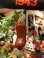 画像6: WIENERSCHNITZEL ANTENA TOP FIGURE
