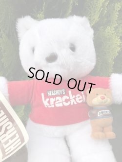 画像7: CRACKEL BEAR 1980'S " 9INCH PLUSH DOLL