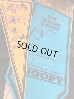 画像10: PEANUTS VINTAGE "STARS OF THE MOVIE" FELT BANNER