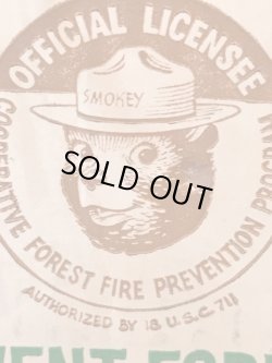 画像11: SMOKEY BEAR 1970'S KINICKERBOCKER TALKING DOLL