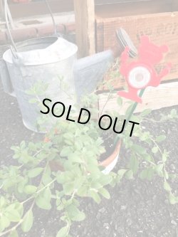 画像5: SUGAR BEAR 1976'S  BICYCLE REFLECTOR