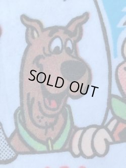 画像8: HANNA BARBERA "CALIFORNIA'S GREAT AMERICA" 1980'S  BANNER