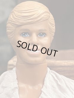 画像9: KEN "HIRAHIRA SHIRTS" VINTAGE DOLL