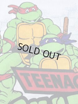 画像8: TURTLES ”MADE IN USA" 1990'S PILLOW CASE