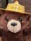 画像7: SMOKEY BEAR DAKIN PLUSH DOLL 