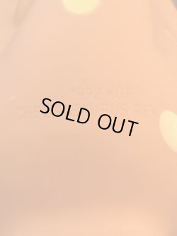 画像5: CHEESASAURUS REX 1990'S BANK FIGURE