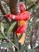 画像12: HULK HOGAN 1991'S ACTION FIGURE