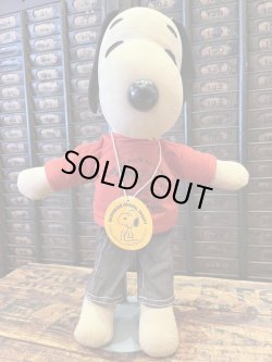 画像11: SNOOPY 1970'S "LARGE"  RAG DOLL