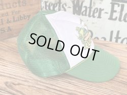 画像5: TEENNAGE MUTANT NINJA TURTLES VINTAGE CAP