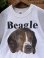 画像7: BEAGLE "MADE IN USA"１９8０’S SWEAT SHIRTS
