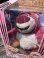 画像2: TOY STORY3 LOTSO🍓"SPECIAL EDITION "PLUSH DOLL