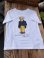 画像2: POLO BEAR RALPH LAUREN  KIDS USED T SHIRTS