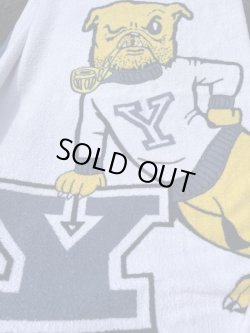 画像9: YALE UNIVERSITY🚩BULLDOGS "HANDSOME DAN" VINTAGE TOWEL 
