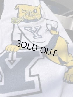 画像4: YALE UNIVERSITY🚩BULLDOGS "HANDSOME DAN" VINTAGE TOWEL 