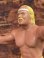 画像7: WWF "HULK HOGAN" 1984'S ACTION FIGURE