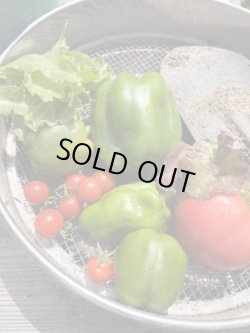 画像6: DEL MONTE "SWEETIE PEA" 1982'S YUMKIN PLUSH DOLL