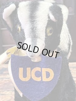 画像8: PERSONALITY PET "UCD" VINTAGE COLLEGIATE MFG Co. DOLL