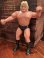 画像2: WWF "GREG VALENTINE" 1985'S ACTION FIGURE