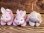 画像12: BUNNY SURPRISE＋3 BABIES 1990'S DOLL