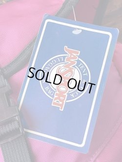 画像7: JANSPORT "SPUMONI" D.STOCK BACKPACK 