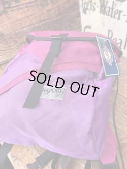 画像12: JANSPORT "SPUMONI" D.STOCK BACKPACK 