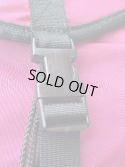 画像9: JANSPORT "SPUMONI" D.STOCK BACKPACK 