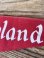 画像7: DISNEYLAND 1960'S🏰COLOR FLOCK PRINTED🏰PENNANT