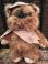 画像1: STAR WARS "WICKET W. WARRICK" OLD KENNER DOLL (1)