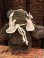 画像1: STAR WARS "PAPLOO THE EWOK" 1990'S DISNEYLAND'S DOLL (1)