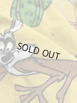 画像8: ROAD RUNNER & WILLE E COYOTE 1970'S KING FLAT SHEETS