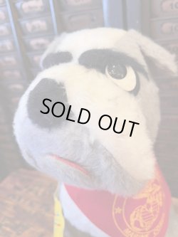 画像7: UNITED STATES⚓️MARINE CORPS D.STOCK  BULLDOG DOLL WITH GOOD TAG🚩