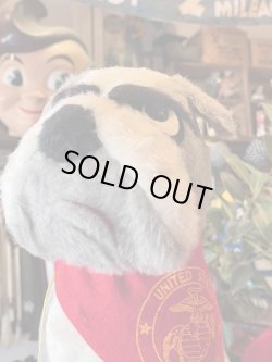 画像14: UNITED STATES⚓️MARINE CORPS D.STOCK  BULLDOG DOLL WITH GOOD TAG🚩