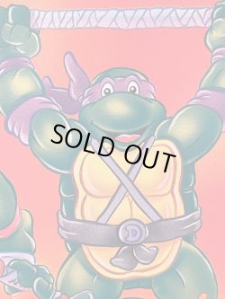 画像5: TURTLES 1988'S METAL PLATE DESK