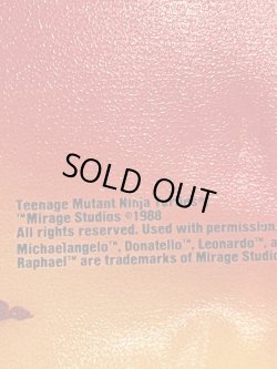 画像8: TURTLES 1988'S METAL PLATE DESK