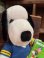 画像11: PEANUTS × NFL🏈 "RAMS" 1980'S D.STOCK PLUSH DOLL