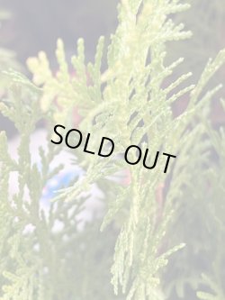 画像22: RAMBO "THE FORCE OF FREEDOM" 1980'S ACTION FIGURE