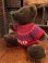 画像2: POLO BEAR 2000'S PLUSH DOLL