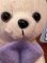 画像6: SNUGGLE BEAR WITH PURPLE BLANKET D.STOCK BEAN DOLL 