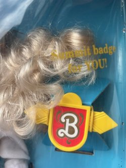 画像7: BARBIE SPECIAL EDITION "SUMMIT BIRBIE" 1990'S D.STOCK DOLL