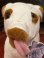 画像5: THERE'S SOMETHING ABOUT MARY "PUFFY THE DOG" 1990'S PLUSH DOLL