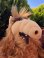 画像2: ALF 1980'S "LARGE" PLUSH DOLL