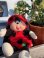 画像11: COCOCINEL 1990'S PLUSH DOLL